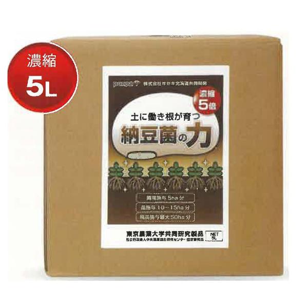納豆菌の力濃縮5倍 5L（6000g） エーピー・コーポレーション 肥料 液肥 メーカー直送