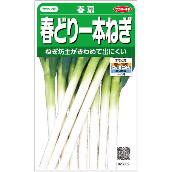 春扇 1dl サカタのタネ ネギ種 メーカー直送