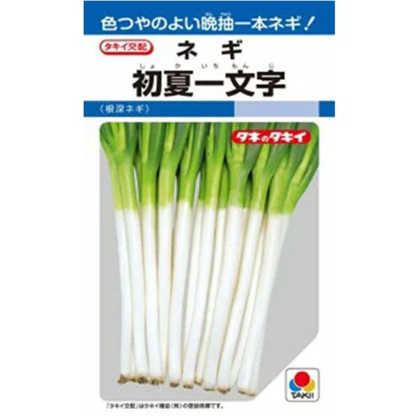 初夏一文字 コート5000粒 タキイ種苗 ネギ種 メーカー直送