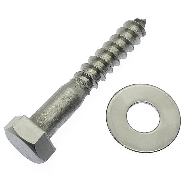 アメリカ便 ウッドチャックの頭骨 アメリカ便 ウッドチャックの頭骨