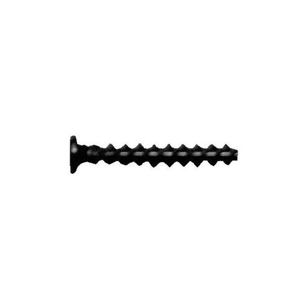 OԂPi{jo^Cix(pbN 1.7 X 5.0 S jbP y1000{z