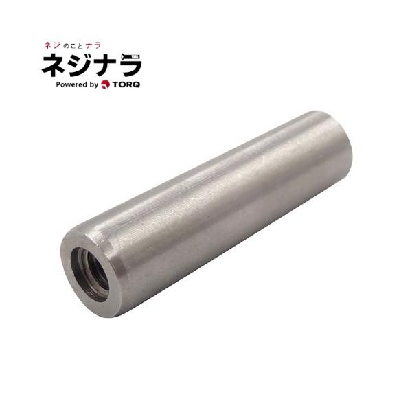 ステンレススチール ガラ入り　6個 ネジナラ 内ねじ付テーパーピン ステンレス 6×30 お徳用パック(100個入