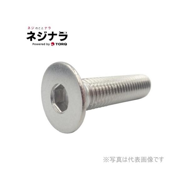 ネジナラ 六角穴付皿ボルト ステンレス M10×70 (5個入) : ネジナラ