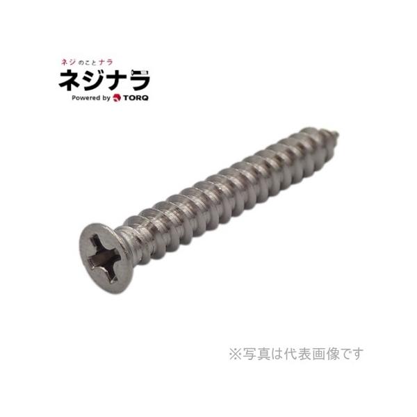 ネジナラ A型+皿タッピング小頭D=6 ステンレス M4×16 (20個入)