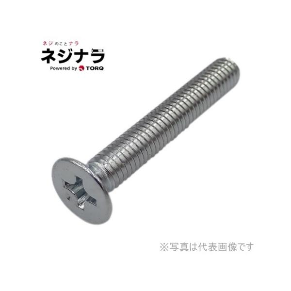 ネジナラ (+)皿ビス 三価クロメート M4×55 (10個入) : ネジナラ - 通販