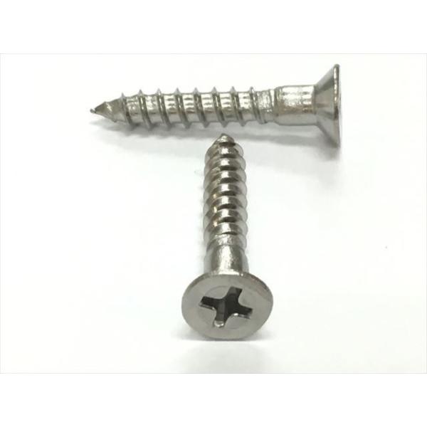 ステンレスビス　皿木ネジ35ミリ　プラグ30ミリ100本セット ステンレス 皿木ねじ M3.5x13mm 小箱（200本入） SUS 皿頭 木
