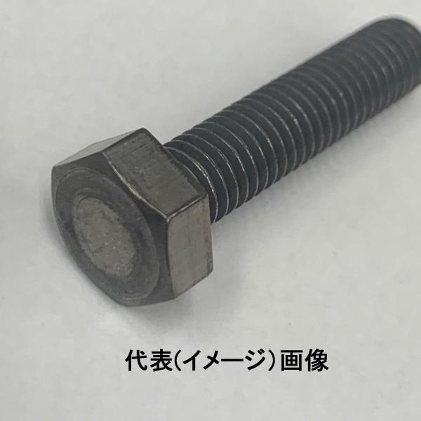 M8X10L(並目P=1.25)(L寸は首下表示です)　純チタン六角ボルト(押)