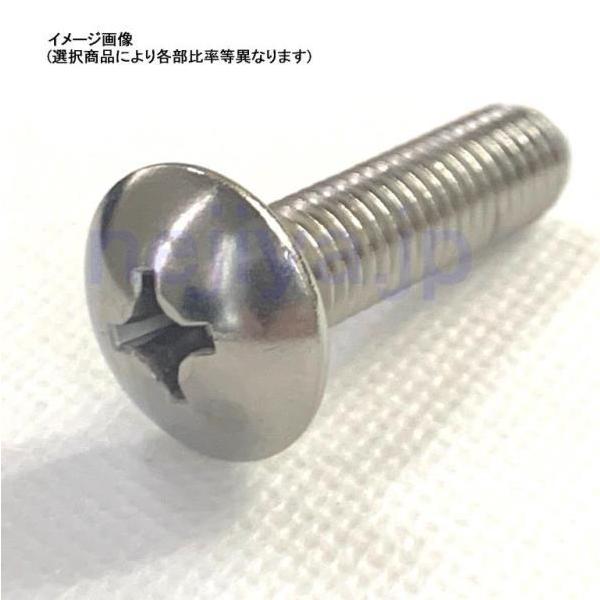 すん様 M6X55 L ステントラス小ネジ (L寸は首下表記です) : ねじ各種と