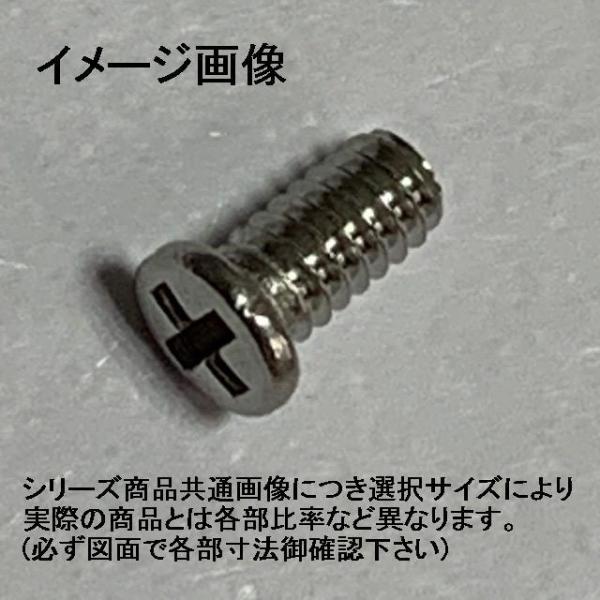 1.0 X 2.5}CNlW01(+)Xeix˂