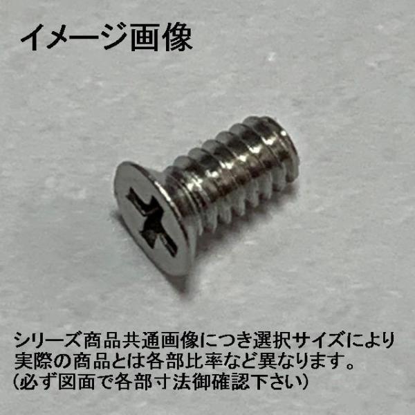 1.6 X 6.0}CNlW01(+)XeM˂
