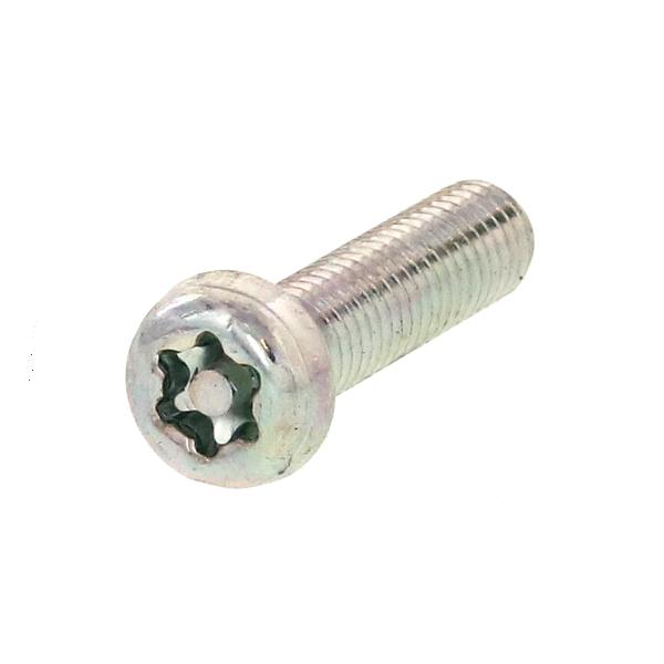 鉄/シルバーメッキ (ピン・トルクス) ナベ小ねじ M5 (太さ=5mm)×長さ=10mm　【 バラ売り ： 5本入り 】