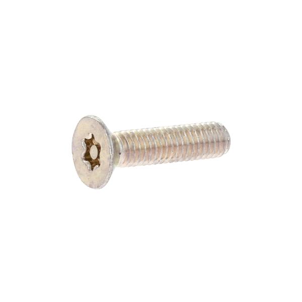 鉄/シルバーメッキ (ピン・トルクス) サラ小ねじ M2.6 (太さ=2.6mm)×長さ=6mm　【 バラ売り ： 5本入り 】