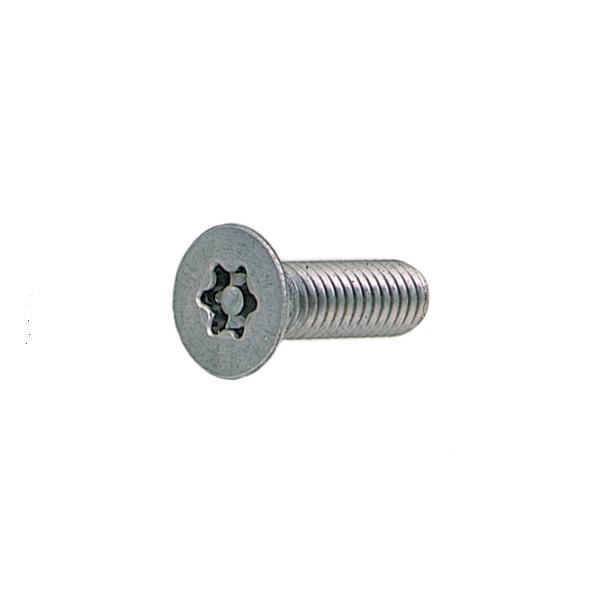 鉄 (ピン・トルクス) サラ小ねじ M3 (太さ=3mm)×長さ=4mm　【 バラ売り ： 5本入り 】