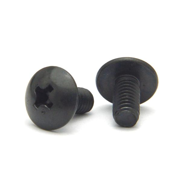 ステンレス(黒染め) (+) トラス小ねじ M5 (太さ=5mm)×長さ=14mm