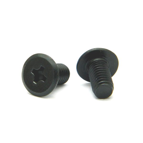 ステンレス(黒染め) (+) スリムヘッド小ねじ M5 (太さ=5mm)×長さ=10mm　【 バラ売り ： 7本入り 】