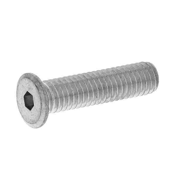 未使用•極小痛み　 『コロシアム プラチナ』　中皿　大きめ　6枚 ステンレス(黒染め) [超極低頭] 六角穴付き スリムヘッド小ねじ