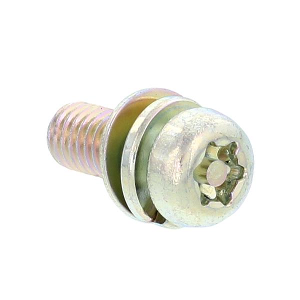 鉄/三価ホワイト ピン・トルクス ナベセムス [P=4] M4 (太さ=4mm)×長さ=12mm　【 バラ売り ： 10本入り 】