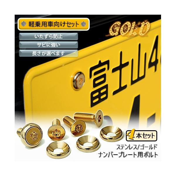 nejiya_tm01-001-04000000-02