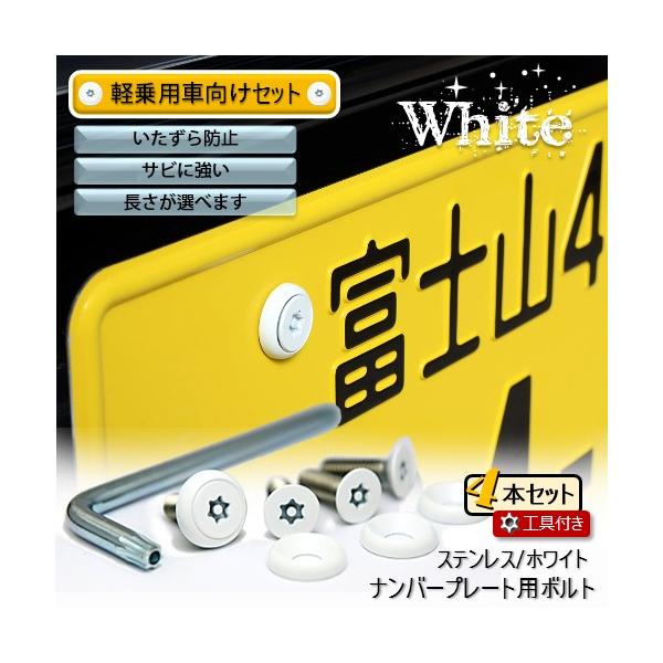 ナンバープレート用ボルト ピン・トルクスサラ ステンレス(ホワイト) 4本 ＋ 工具付セット
