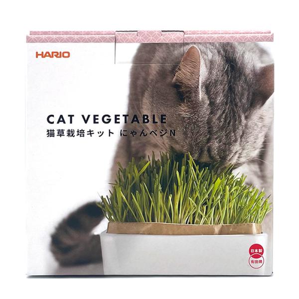 猫草栽培キット にゃんベジ  セットN
