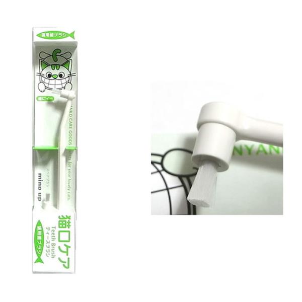 猫用歯ブラシです。予備のブラシ部が1個付属しています。■ネコポス対応品対応サイズ：2この商品はネコポスでの発送が可能です。指定はご注文時の配送方法で「ネコポス」をご選択ください。詳しくは「お買い物ガイド」をご覧ください。その他、詳細説明をご...