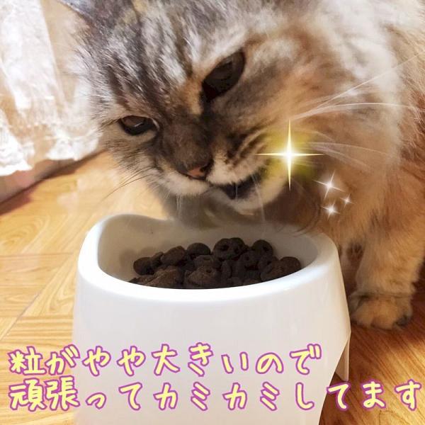 次回入荷予定4月中旬以降 レオナルド シニア 400gドライ 高齢猫用 腎臓に配慮 キャットフード Leonardo 正規品 Le503 Buyee Buyee 日本の通販商品 オークションの代理入札 代理購入