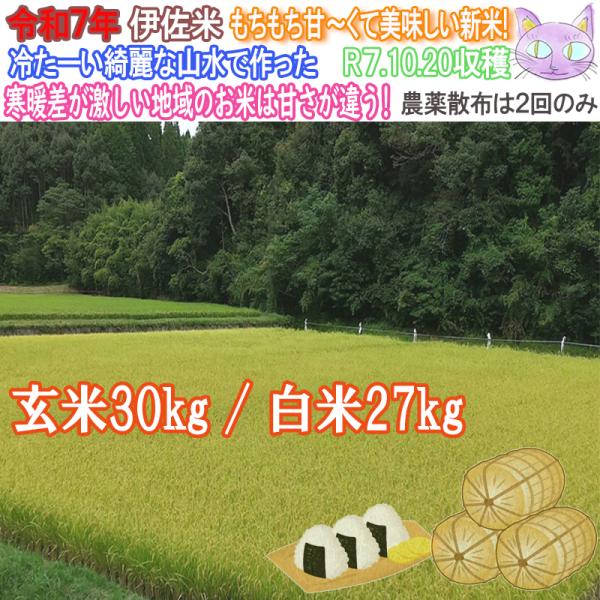 ヒノヒカリ 令和7年新米 米30kg 米 伊佐米 お米 30kg 新米 令和7年産