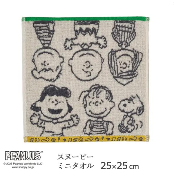 スヌーピー ミニタオル 25×25cm 西川 ピーナッツギャング PEANUTS GANG ハンカチタオル ハンドタオル タオルハンカチ 綿100％ M便6 XT46606646