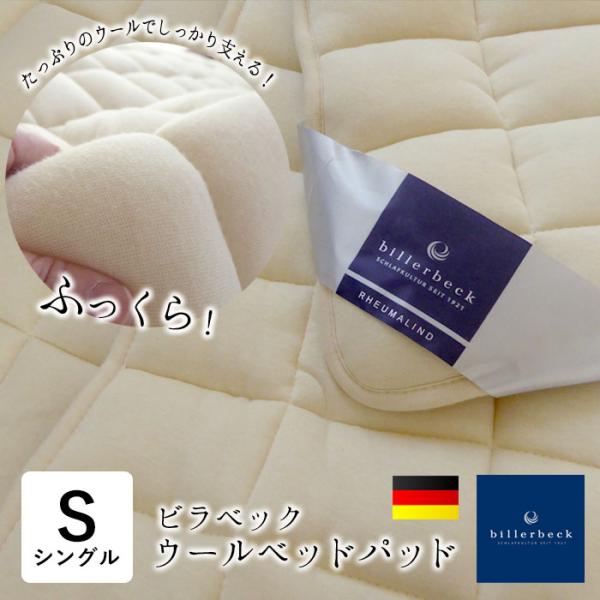 nekoronta_sae-00027sl