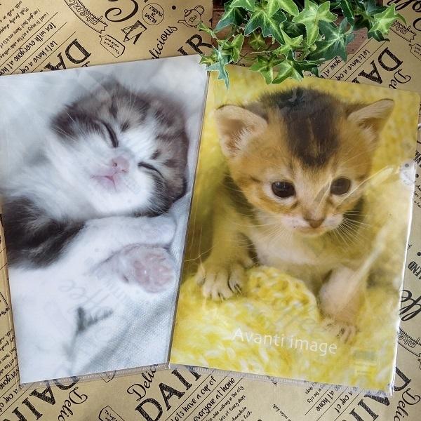 猫雑貨　文房具　猫柄　A4サイズ　クリアファイル　書類整理　