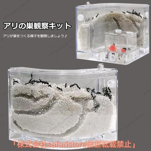 アリの巣 あり観察キット 飼育 ケース 砂 自由研究 小学生 あり 蟻 飼育セット 実験セット 観察 夏 休み 学習用 人気 おしゃれ 快適 清潔 簡単 便利