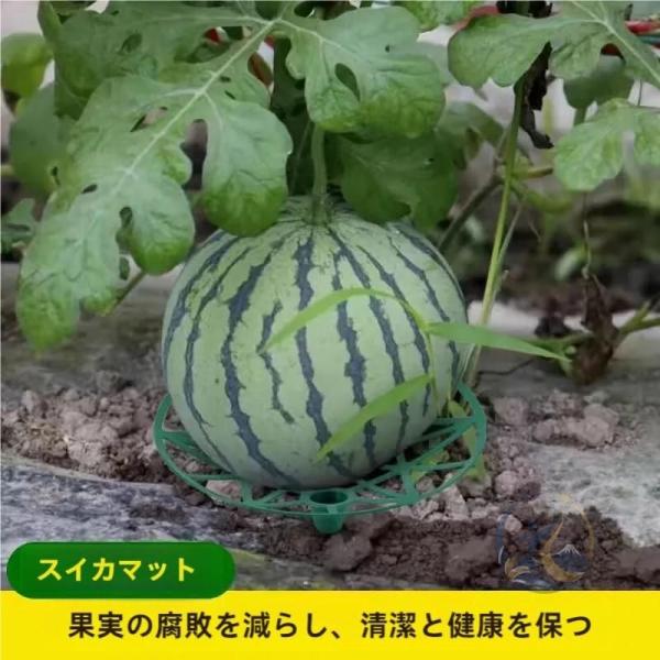 スイカマットスイカマット10 20 感動人生 30個入り園芸フレームスイカサポートスイカマットイチゴサポート耐久性環 便利 快適 おしゃれ 実用的 家庭用