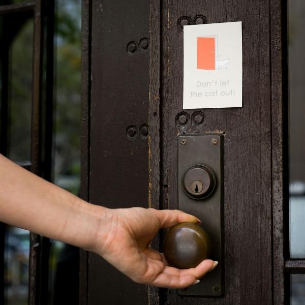 L܂ XebJ[ hAlR܂ L Eh~ яo J \Ă͂ V[