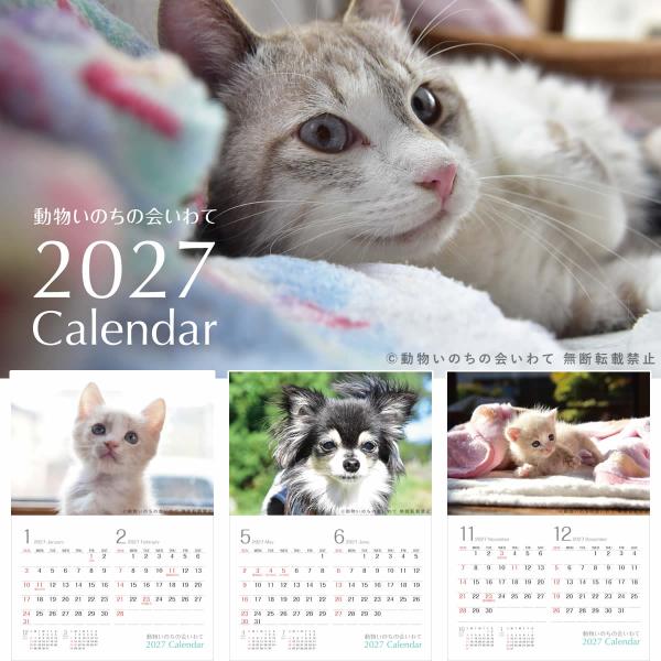 �y�ی�L�E�ی쌢���~���z�������̂��̉��� 2027�J�����_�[ ���i�摜
