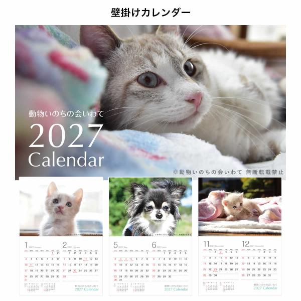 �y�ی�L�E�ی쌢���~���z�������̂��̉��� 2027�J�����_�[ ���i�摜4