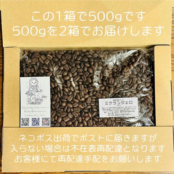ミケランジェロ1kg ネルソン コーヒー ロースター 仙台 : Nelson