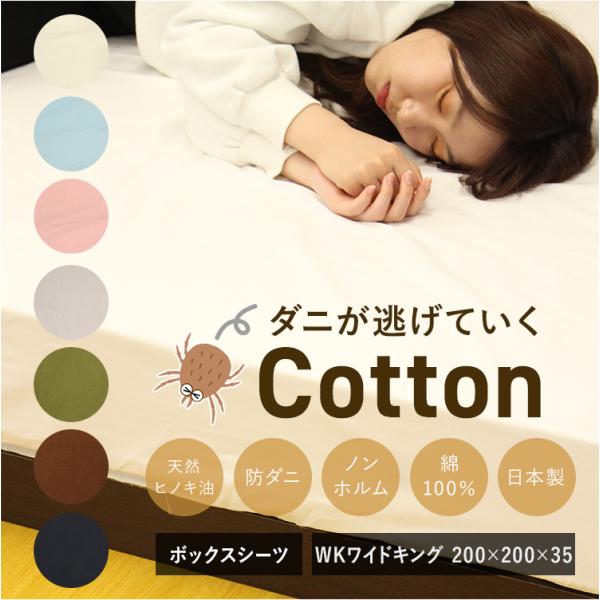 {bNXV[c xbhV[c ChLO 200×200 200 h_j 傫TCY 100 {  AM[ V[c R hL 