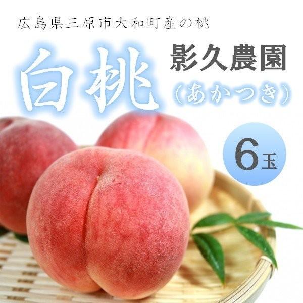 ７月２０日以降発送 大和町の桃 白桃 あかつき 6玉入り 影久農園 広島県 三原市 特産品 Kagehisanouen 0455 ひろしまど真ん中市場 通販 Yahoo ショッピング