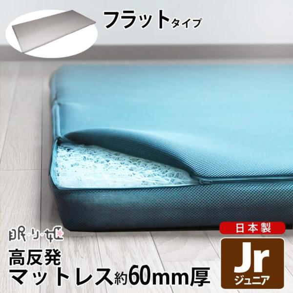 nemurihime_150721003jr