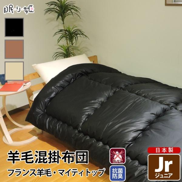 羊毛混掛け布団」の人気商品一覧 | 安い商品を通販サイトから探す