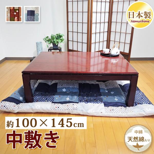 TEIJIN（テイジン） こたつ布団 中敷き 長方形 100×145cm おやすみねこ