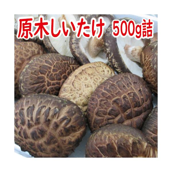 しいたけ　冷凍原木生しいたけ　500ｇ詰　（北海道産　冷凍）
