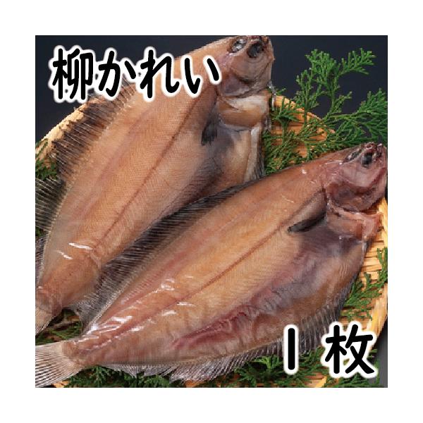 [Release date: April 9, 2024]北海道で水揚げされた柳かれい一夜干しして旨味を凝縮しました。解凍後焼き魚でお召し上がれます。送料無料の商品と同梱で送料無料となります。