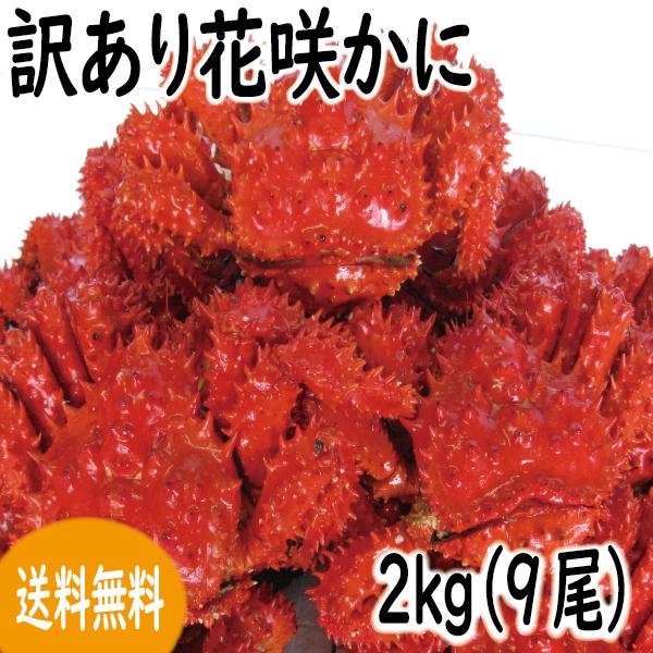 カニ　かに　蟹　訳あり　花咲ガニ　(オスメス無選別) 2kg 詰（9尾)　 小さい、足無混じり　 送料無料
