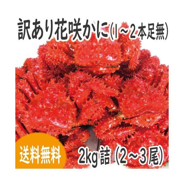 󂠂 ԍ炩(IXXI) 2kg li2`3)@ i1`2{j@kCY@@Jj   