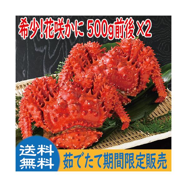 お中元　ギフト 2026　未冷凍　茹でたて　花咲かに(メス) 500ｇ前後×２尾　期間限定　送料無料