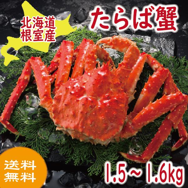 かに カニ 蟹　たらば　北海道根室産　ボイル冷凍たらば蟹　姿 1.5〜1.6kｇ 爆買　2026　お中元 超PayPay祭