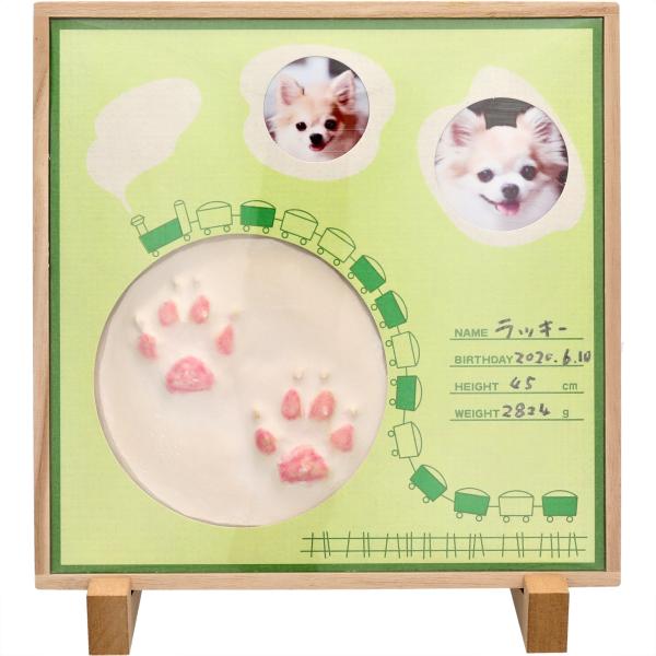 ☆TVで紹介されました。作る過程に愛があります。☆テレビ朝日「グッド！モーニング」  【あらいーな】」(2022年1月18日)☆日本製、販売履歴16年、最高品質の商品です。 人間の赤ちゃんの手形を作るセットと同じ内容です。☆作り方説明書・日...