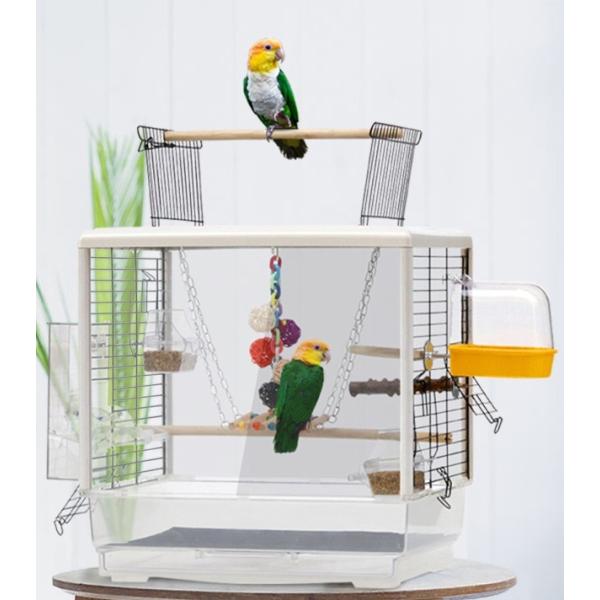   JS  Q[W P[W IE  o[hQ[W Ji ZLZCCR CR ʃNA^CvS ԑ