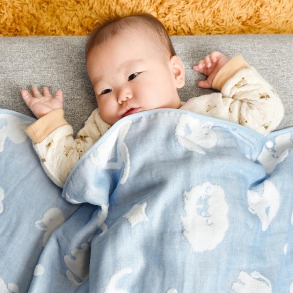 ^I pCƃK[[̃_utFCXK[[Pbg/K[[^I(xr[TCY TXcm×POO cm) SMILELOVE S̓{